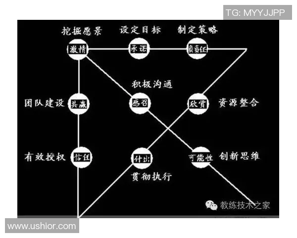 以教练为核心的团队建设与发展策略探析