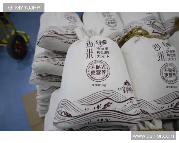 大米种植技术创新与可持续发展策略探索及其对农业经济的影响分析