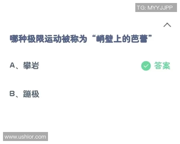 西安极限运动队与武汉极限运动队实力对比赛后深度分析与总结